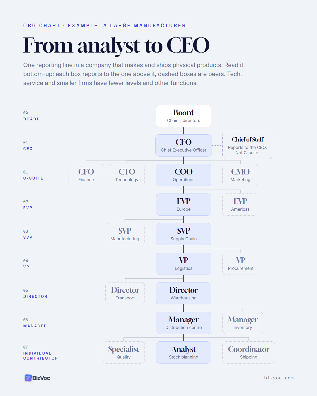 Example org chart of a large manufacturer: one reporting line from a stock planning analyst up through Manager, Director, VP, SVP, EVP and COO to the CEO and Board, with peers at each level